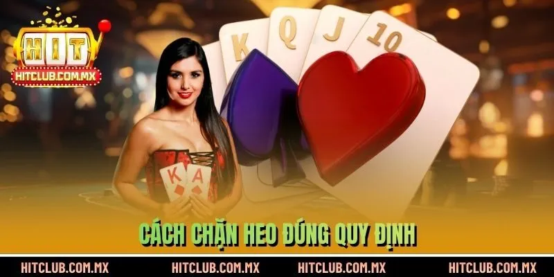 Cách chặn heo đúng quy định